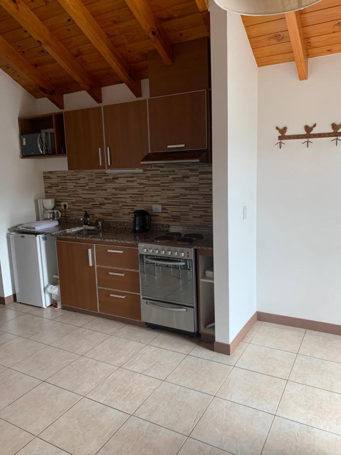 Departamento San Martin De Los Andes Centrico Y Moderno Dış mekan fotoğraf
